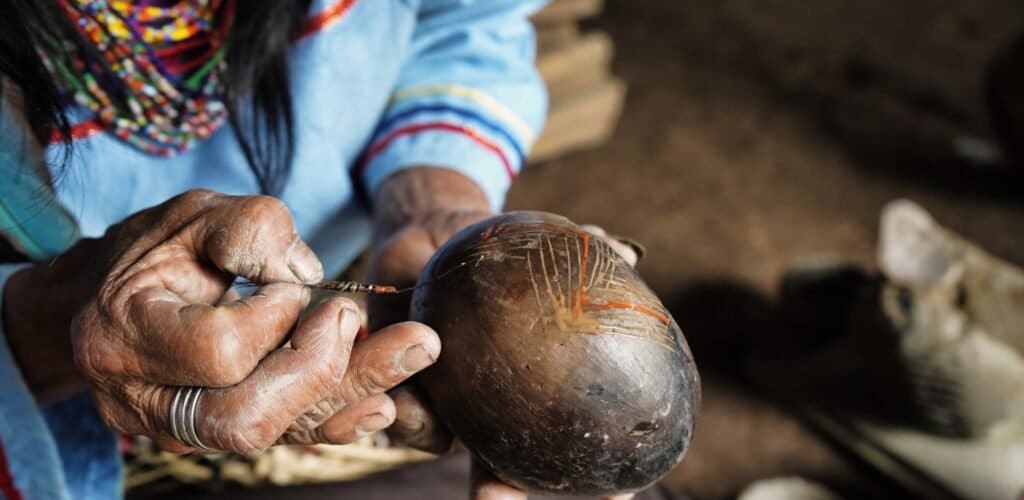 Luxury Amazon River Cruise