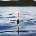 Can You Fish Off a Cruise Ship