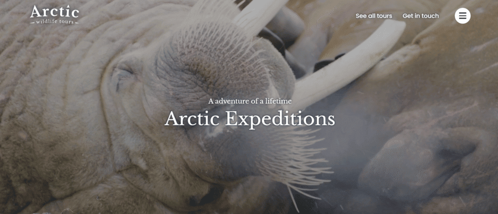 Aurora Expeditions